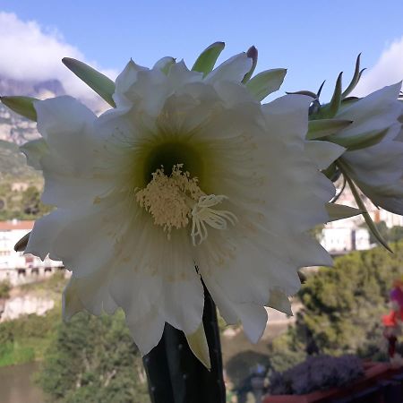 Piso Con Desayuno Incluido Y Vistas A La Montana. Daire Monistrol de Montserrat Dış mekan fotoğraf