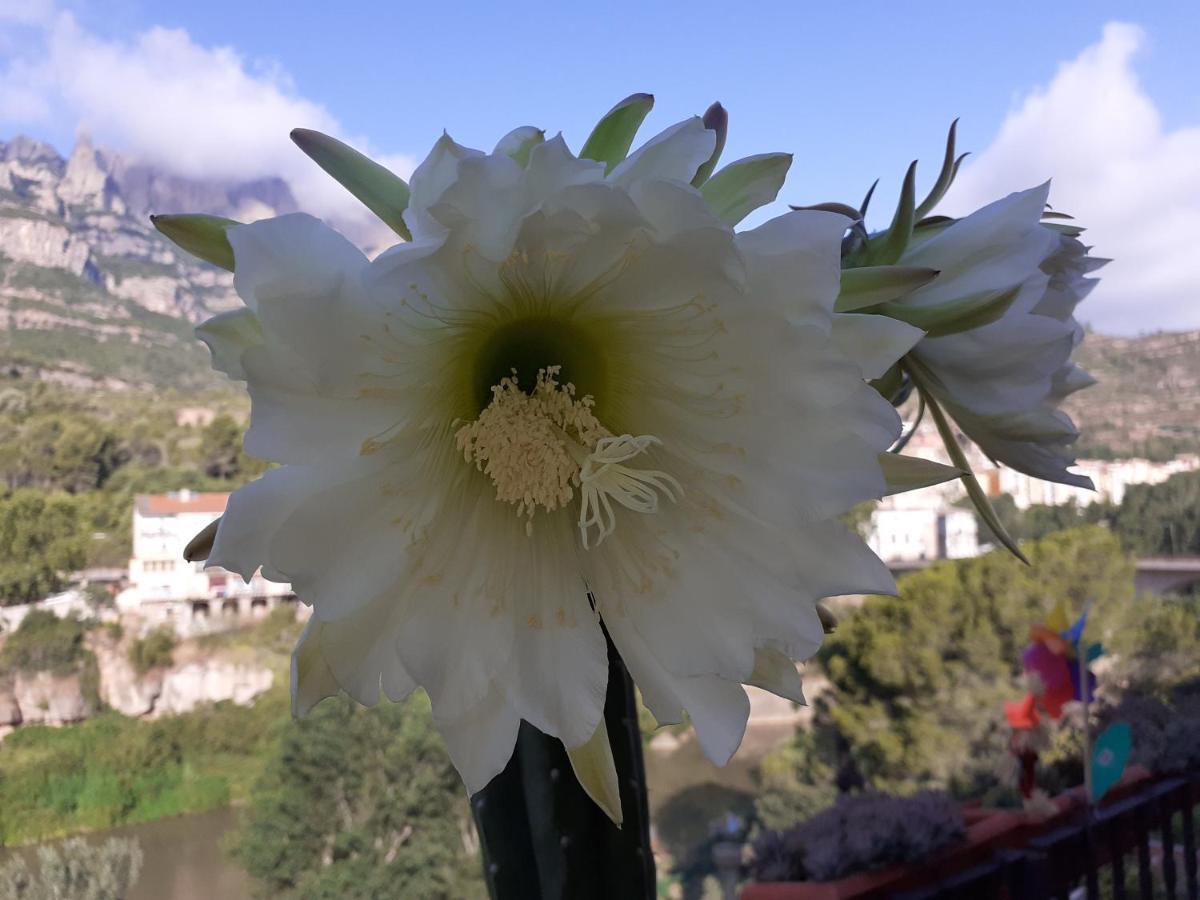 Piso Con Desayuno Incluido Y Vistas A La Montana. Daire Monistrol de Montserrat Dış mekan fotoğraf